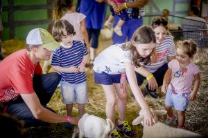 Family friendly activities | Berry NSW